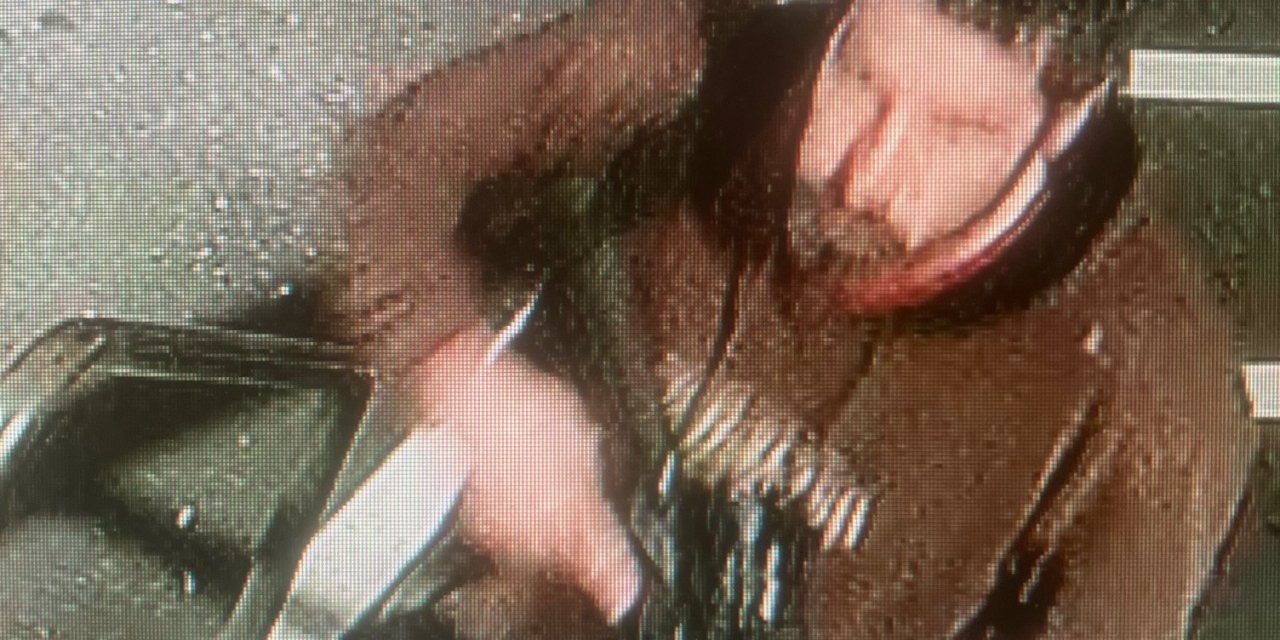 Abd’de 22 Kişiyi Öldüren Silahlı Saldırgan Henüz Yakalanamadı