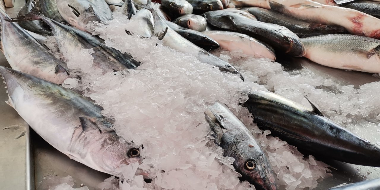 Son 15 Yılda Böyle Palamut Kıtlığı Görülmedi