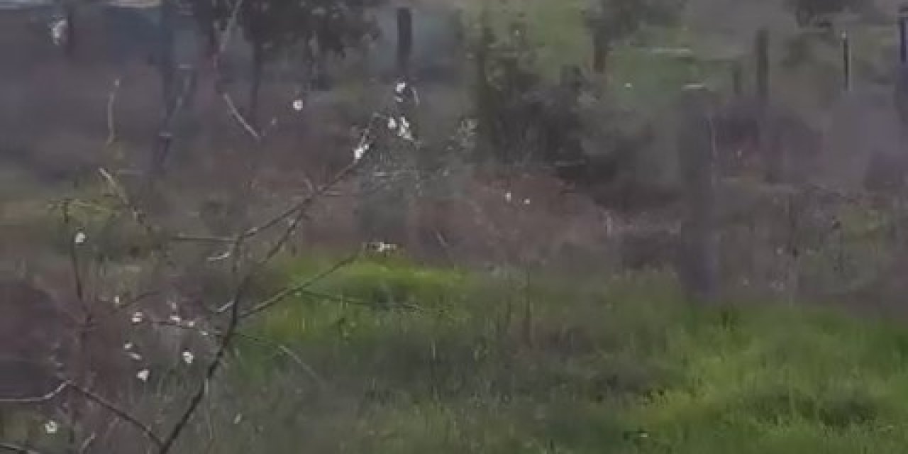 Tuzla'da 2 Gecekondu Alev Alev Yandı