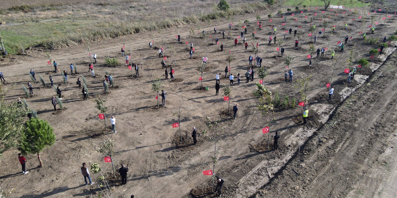 Büyükçekmece’de ‘100. Yıl Cumhuriyet Ormanı’ Oluşturuldu