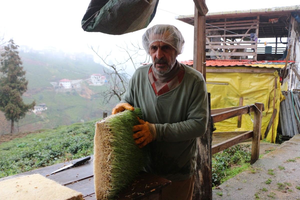 6 Metrekarelik Alanda Hayvanları İçin Yem Üretiyor