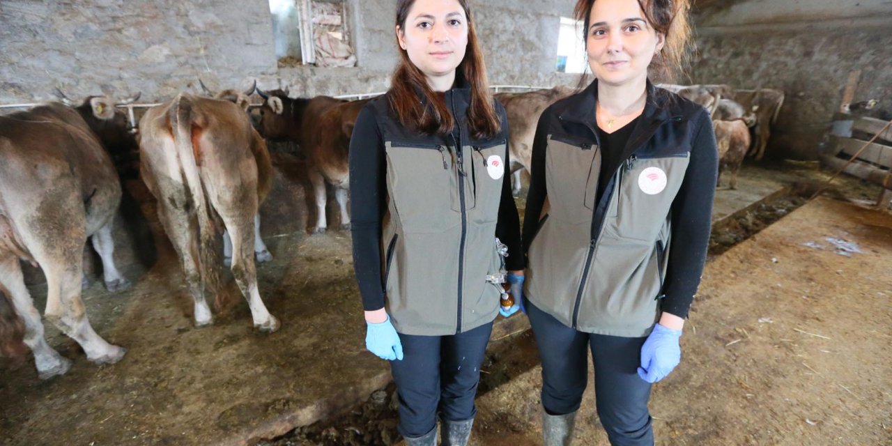 Kadın Veterinerler, Köy Köy Dolaşıp Hastalıklarla Mücadele Ediyor