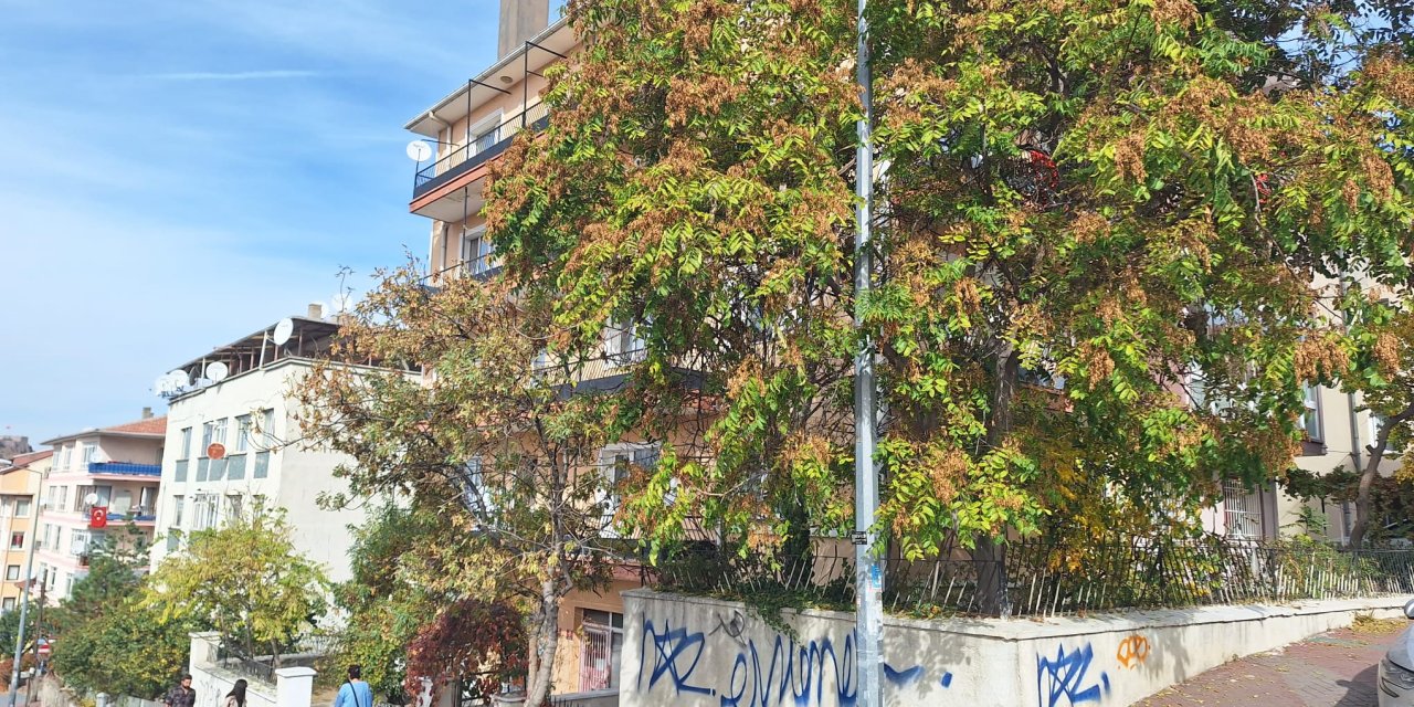 Tartıştığı İş Arkadaşını Bıçaklayarak Öldürdü