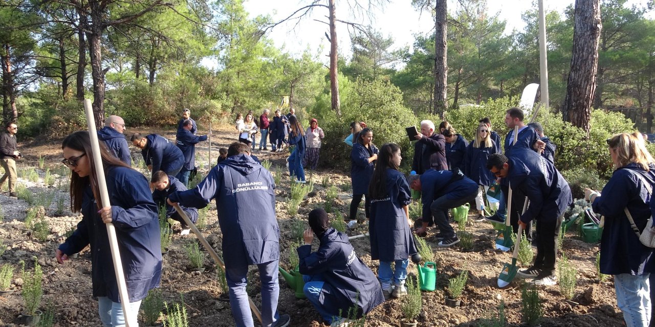 Enerjisa Üretim'den Çanakkale'deki Arıcılara Ekipman Ve Fidan Desteği