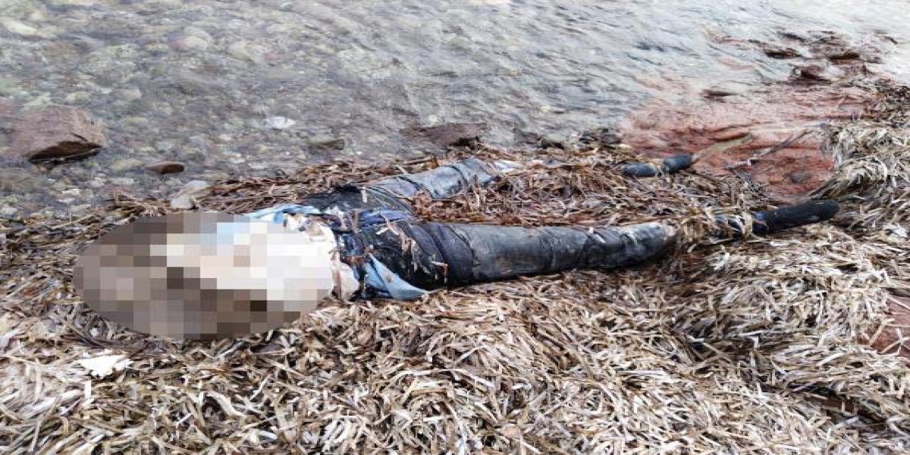 Bodrum’da Sahilde Bedeninin Üst Kısmı Olmayan Kadın Cesedi Bulundu