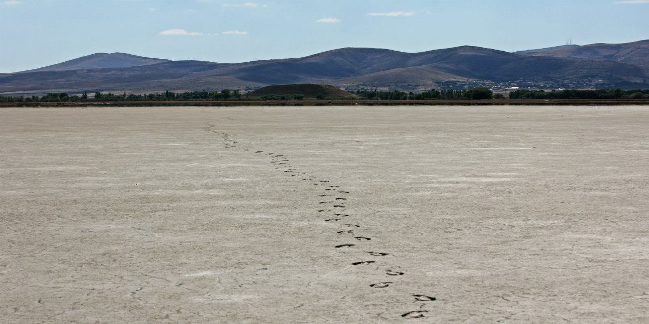 Seyfe Gölü Tamamen Kuruyunca Cevizin Rekoltesi Düştü