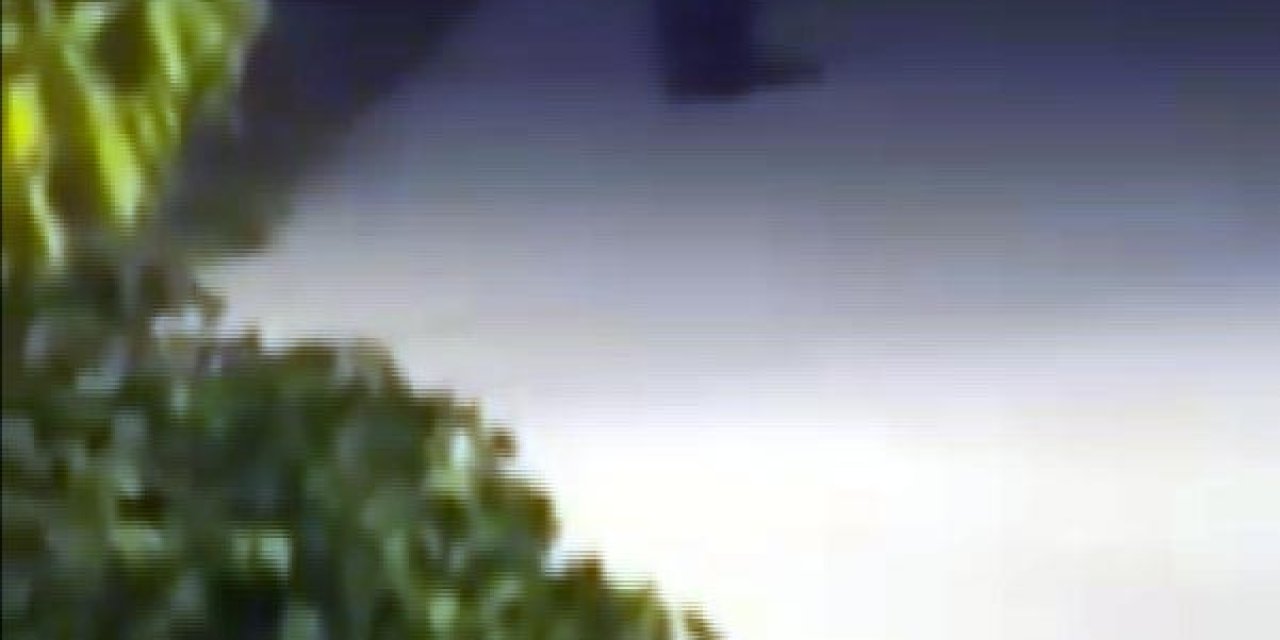 Bolu'da 'Bozayı' Paniği