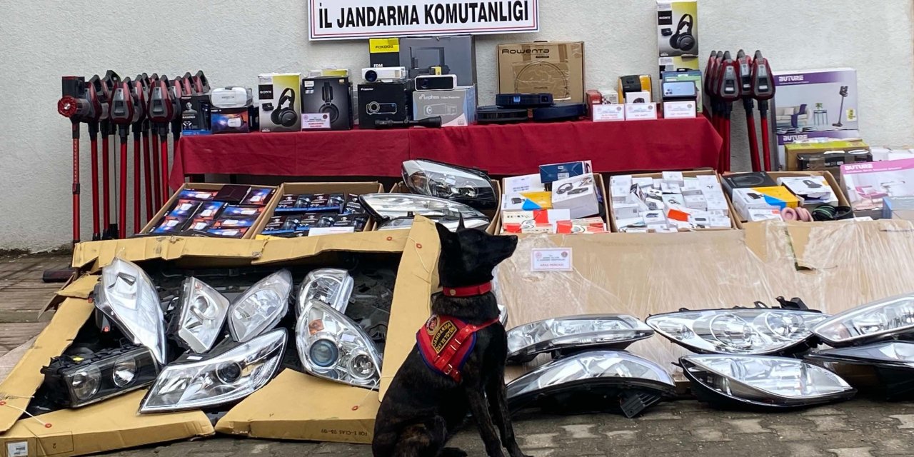 Kapıkule'de Durdurulan Tır'da Çok Sayıda Gümrük Kaçağı Elektronik Alet Ele Geçirildi