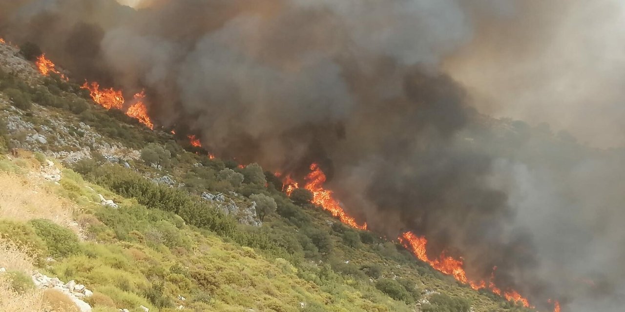 Muğla'da Makilik Yangını
