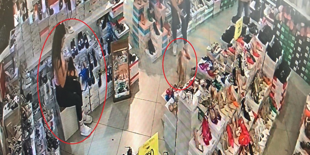 Köpekle Geldiği Mağazada Unutulan Çantayı Çaldı; O Anlar Kamerada