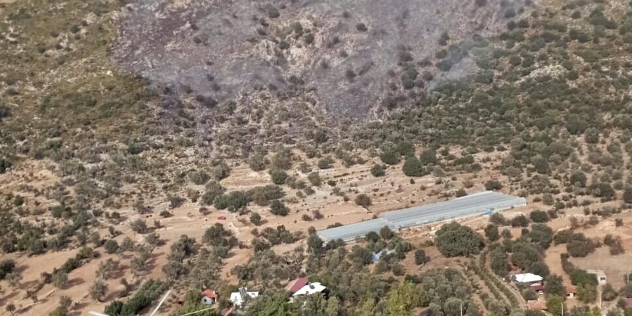 Muğla'da Makilik Yangını (2)