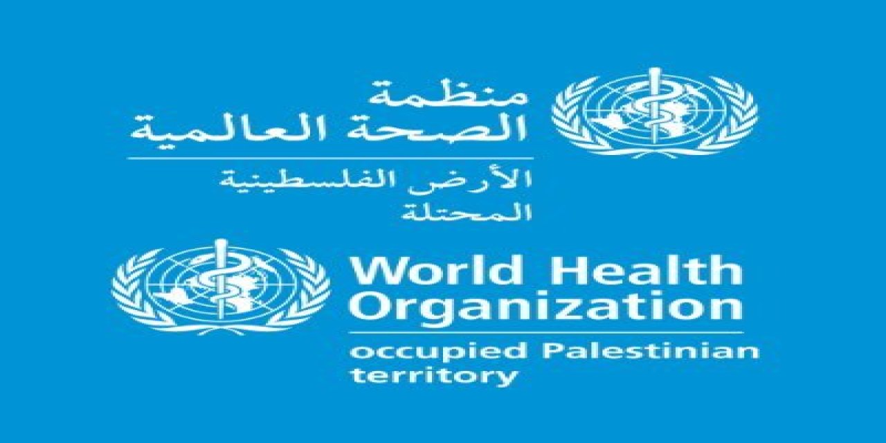 Dsö Gazze’nin Sağlık Altyapısı Ve Hastaların Durumunu Değerlendirdi