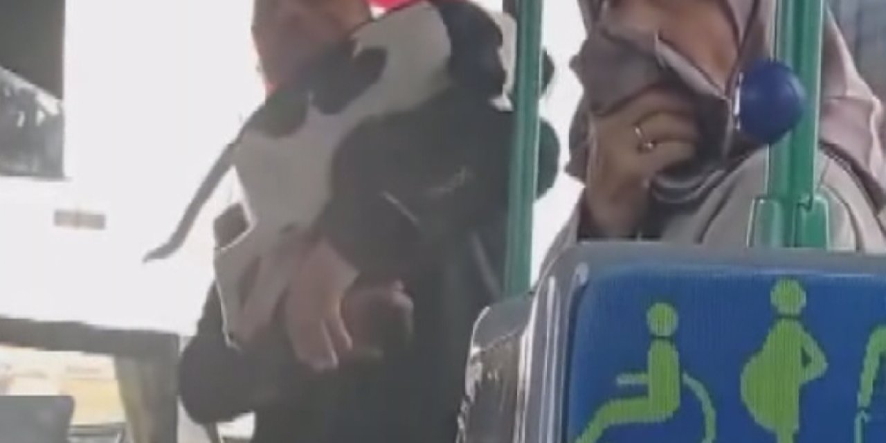 Çekmeköy'de Kucağındaki Köpekle Otobüse Bindi; Tepki Gösteren Şoför Ve Yolcularla Tartıştı