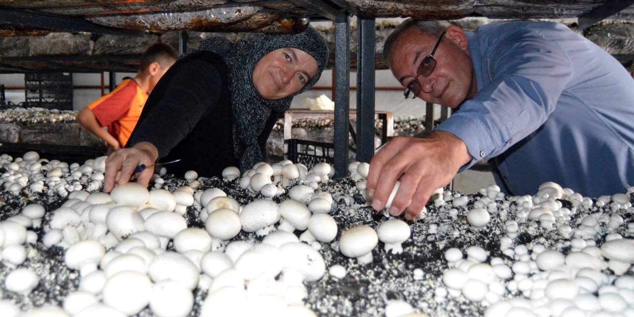 Muhtar Mantar Üretiminde Başarılı Oldu, Köyüne Kooperatif Kuruyor