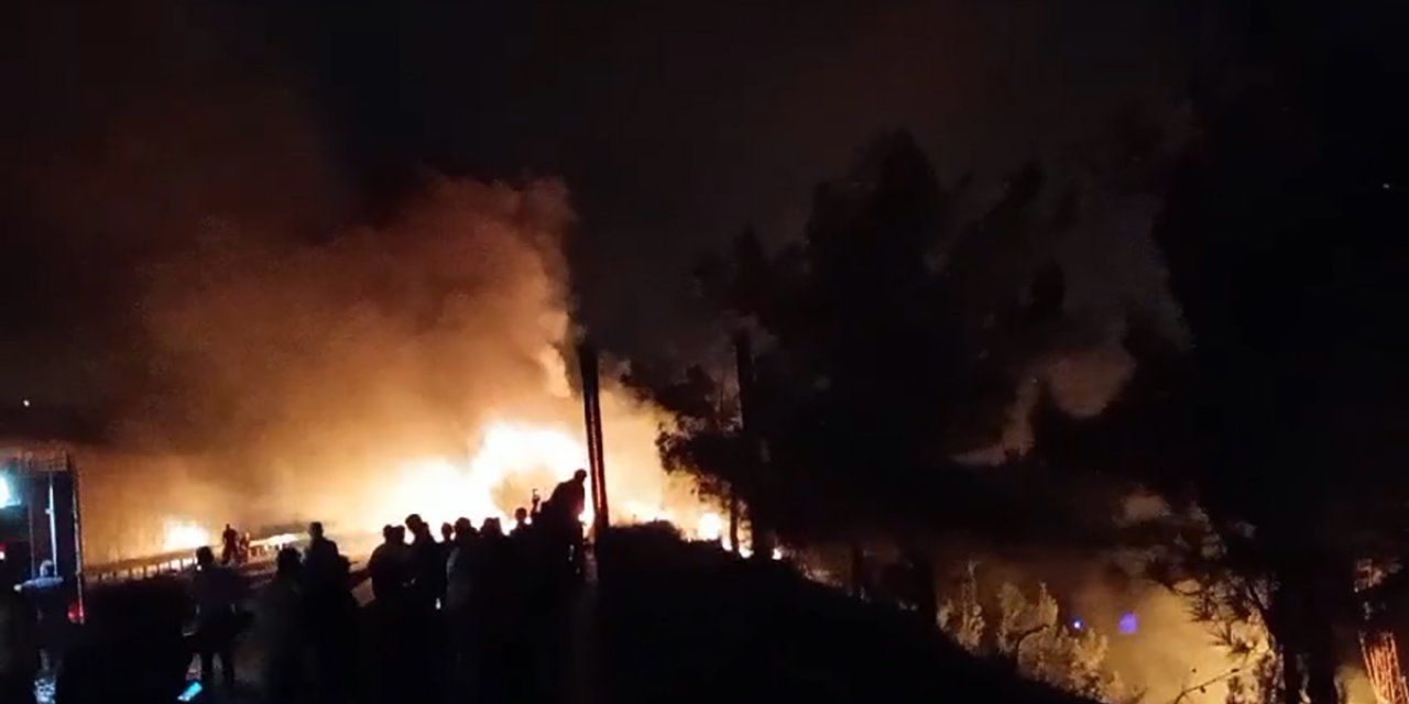 Otoyolda Yanan Tır'daki Alevler Ormana Sıçradı