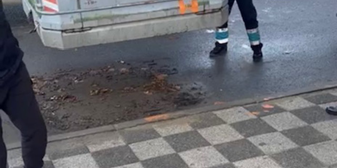 Kadıköy'de İki Gün Kaldığı Çöp Konteynerinden Vinçle Çıkarıldı
