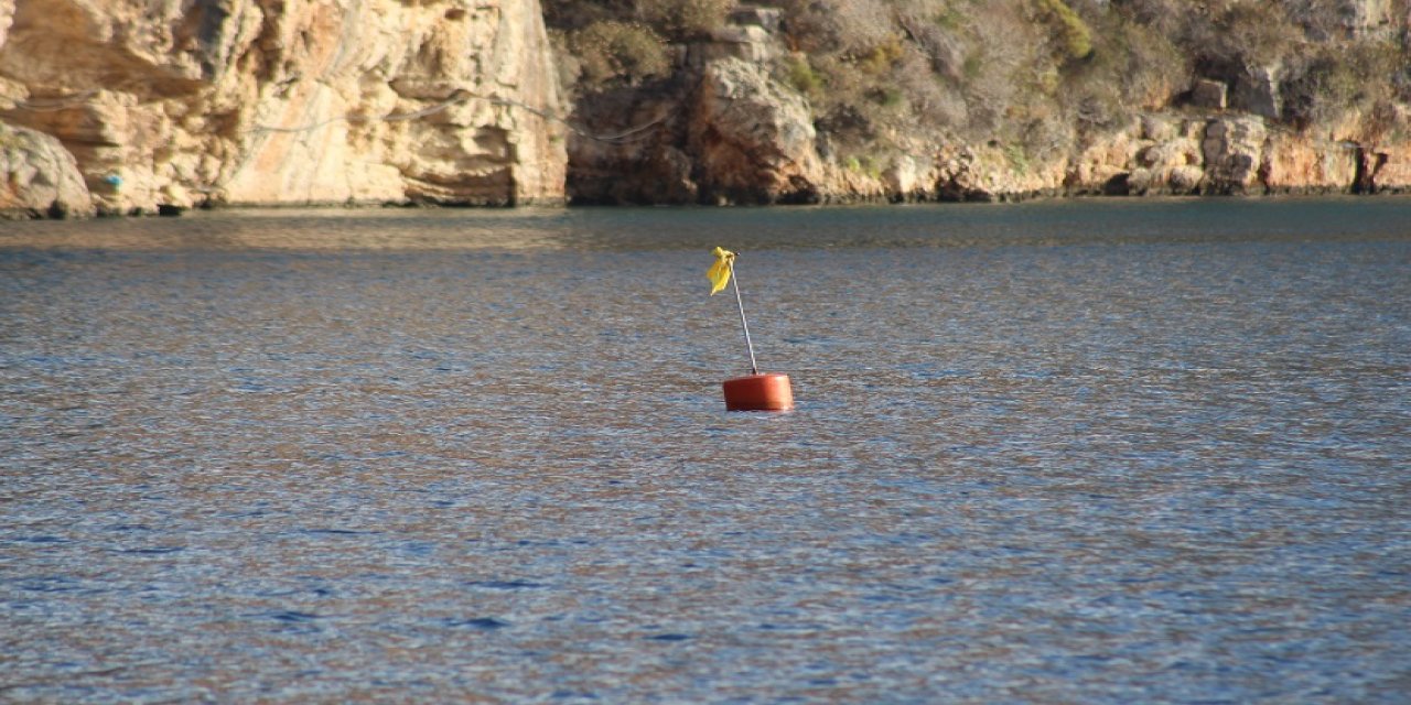 Akdeniz'e Nefes Programı İle Denizlerin Akciğeri Deniz Çayırları Korunacak