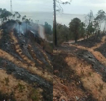 Sürmene'de 6 Yıl Önce Çıkan Yangın Sonrası Dikilen Sarıçamlar Yeniden Alevlere Teslim Oldu