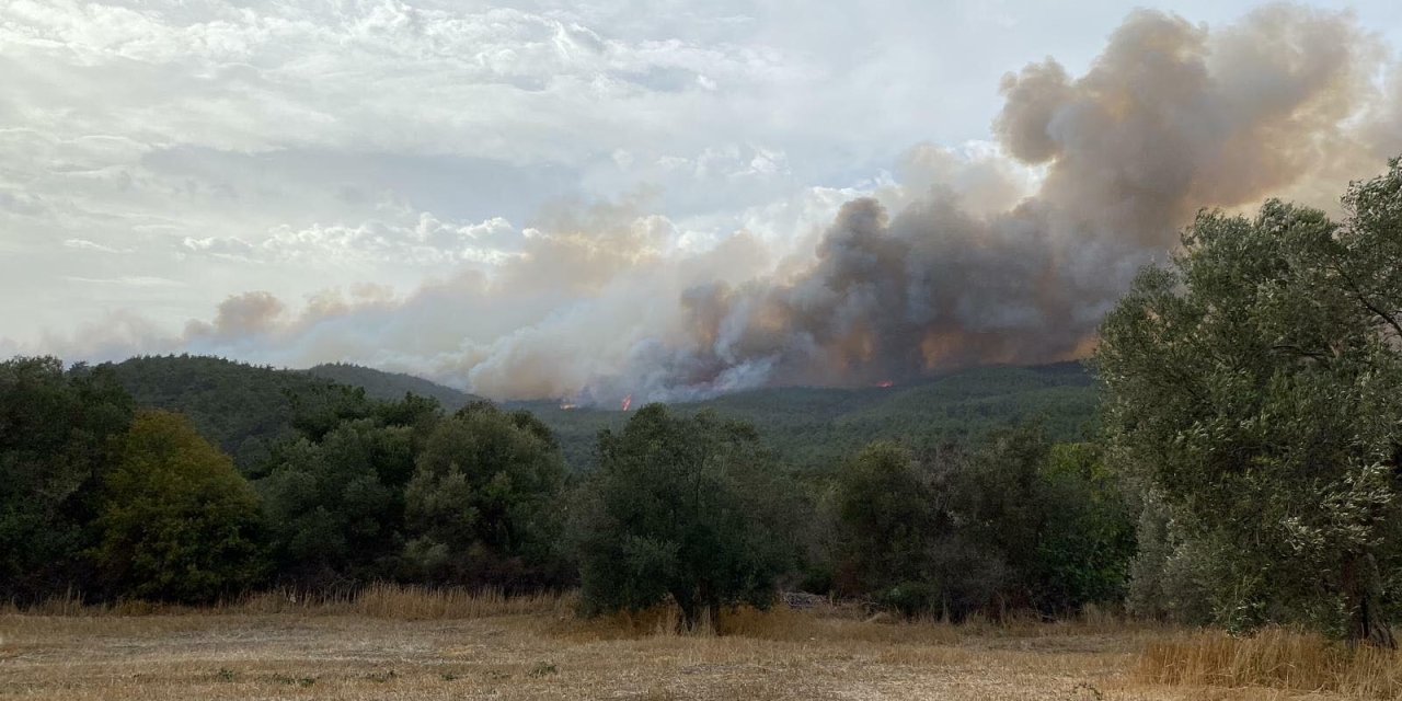 Çanakkale'de Orman Yangını (2)