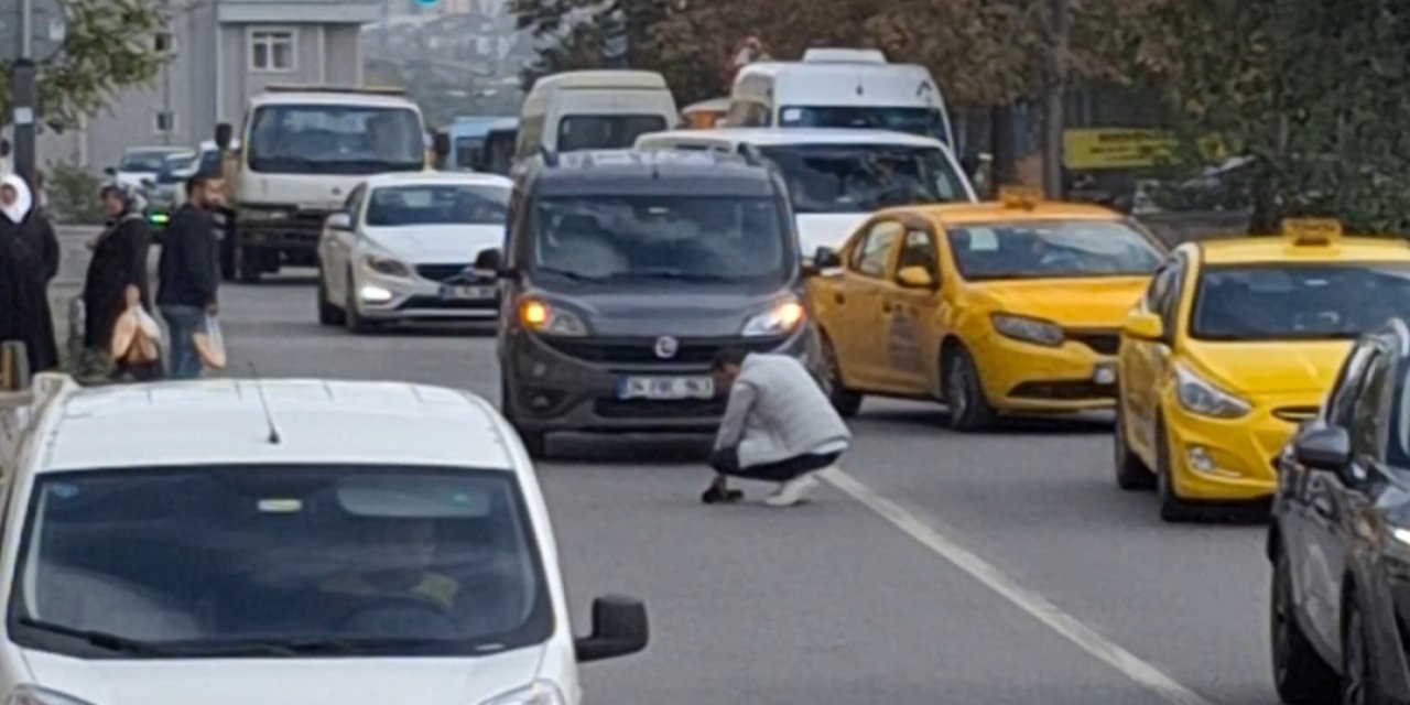 Kartal'da Trafiği Durdurdu; Yavru Kediyi Ezilmekten Kurtardı