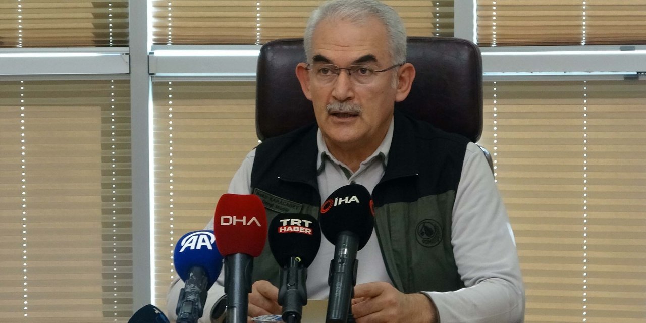 Çanakkale'deki Orman Yangınında Soğutma Çalışmaları Sürüyor (2)