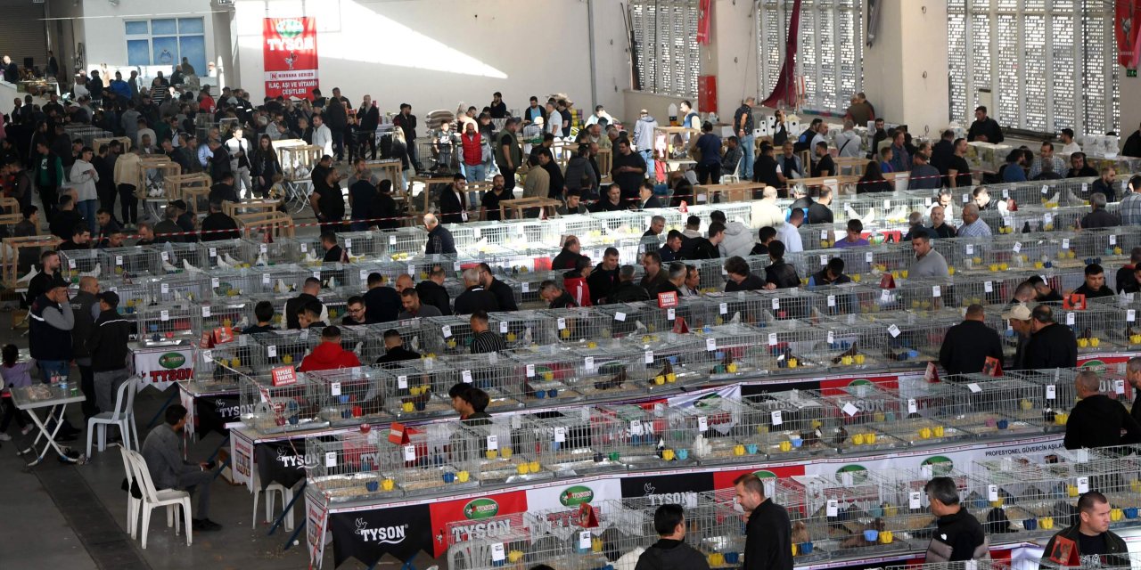 Festivalde Cins Tavuklar 15 Bin Liraya, Güvercinler İse 150 Bin Liraya Kadar Alıcı Buldu