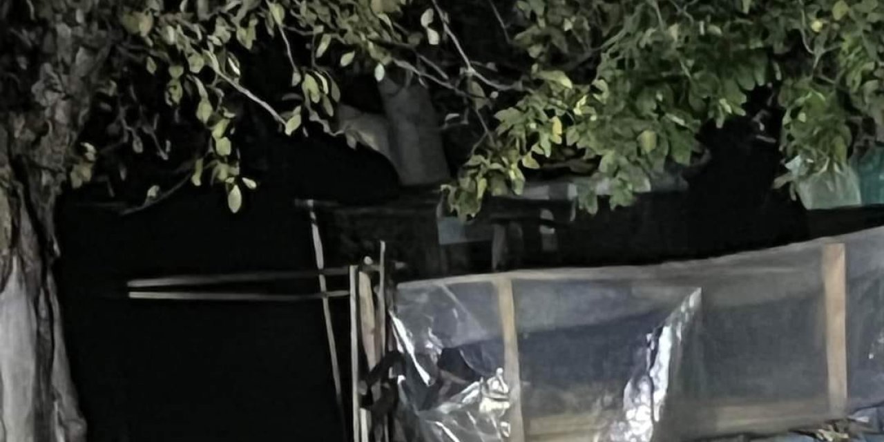 Günlerdir İlçede Gezinen Bozayı, Bu Kez Evin Bahçesine Girdi