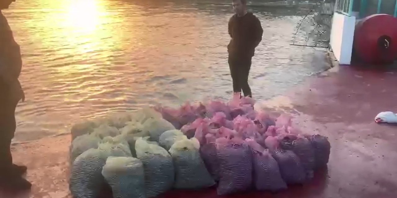 Kadıköy'de 1 Ton Kaçak Midye Avlayan Kişiye 24 Bin Lira Ceza Kesildi