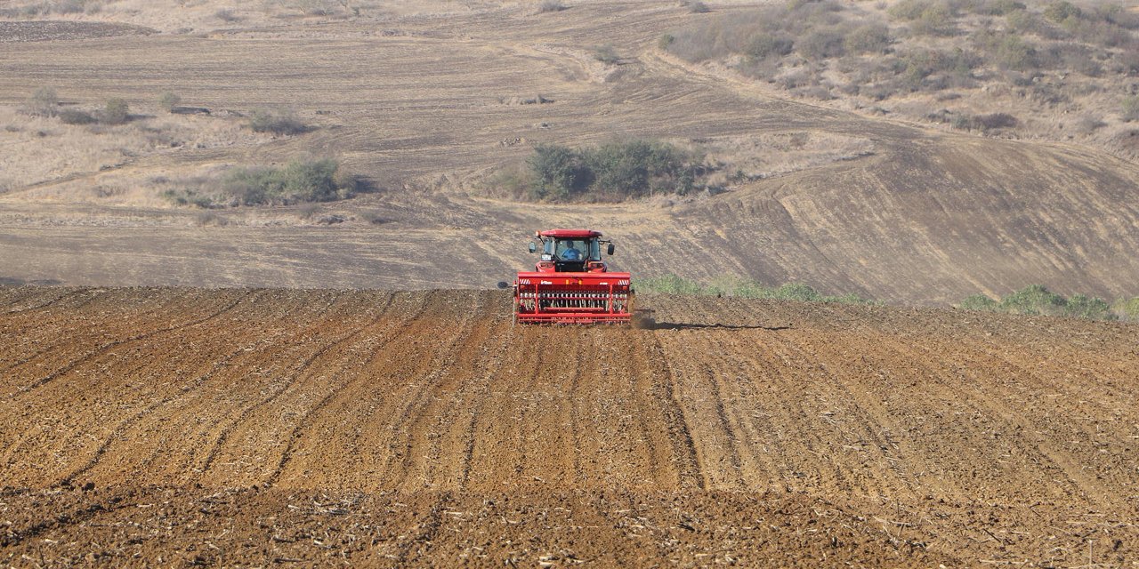 Tekirdağ'da Yağmurun Ardından Buğday Ekimi Başladı