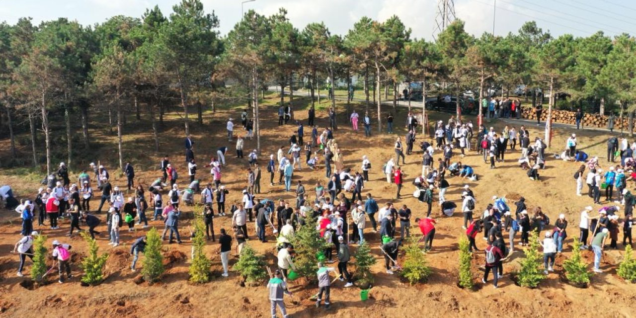 Sultangazi'de Cumhuriyet'in 100'üncü Yılında 1923 Fidan Dikildi