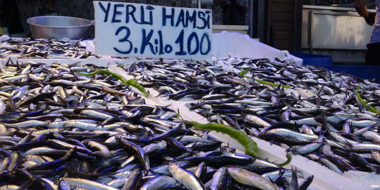 Trabzon’da yerli hamsinin 3 kilosu 100 liradan satılıyor