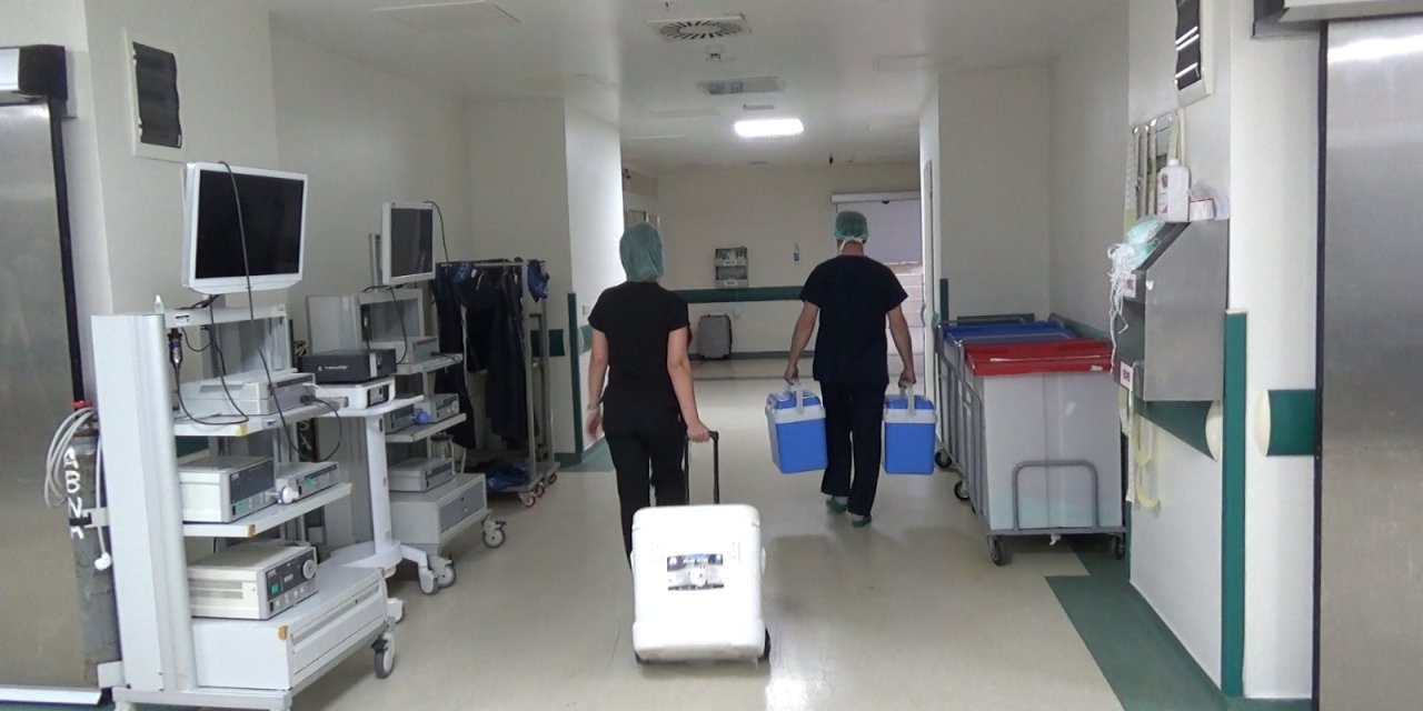 Prof. Dr. Kaya: Kadaverik Organ Bağışı, Pandemi İle Çok Dramatik Bir Şekilde Düştü