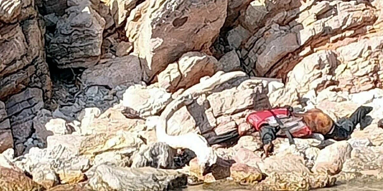 Bodrum'da Can Yelekli Erkek Cesedi Bulundu