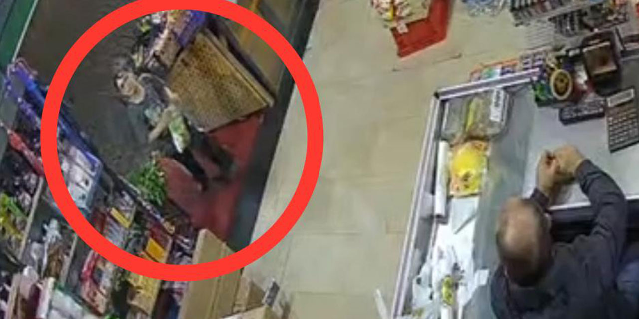 Küçük Çocuğun İsrail Boykotu, Market Kamerasında