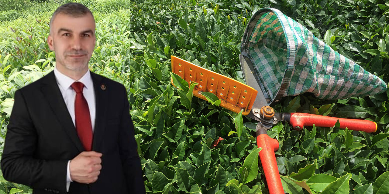 Özçelik: En Çok Mağduriyet Yaşayan Doğu Karadeniz Olacak