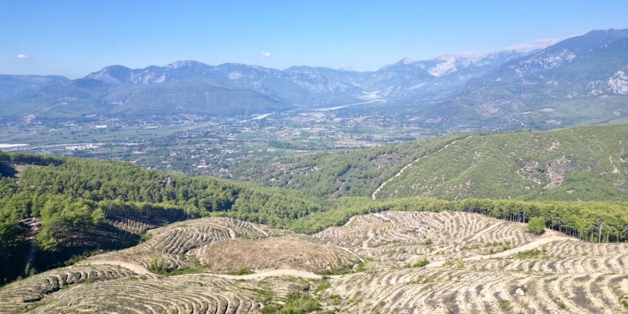 Epal Türkiye, Cumhuriyetin 100’üncü Yılında 22 Bin Fidanı Toprakla Buluşturdu