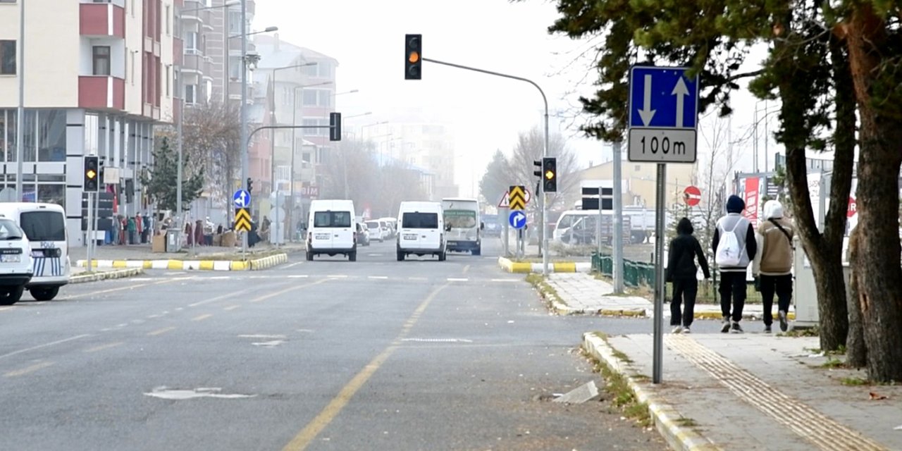 Ardahan’da Sis Ve Kırağı Etkili Oldu