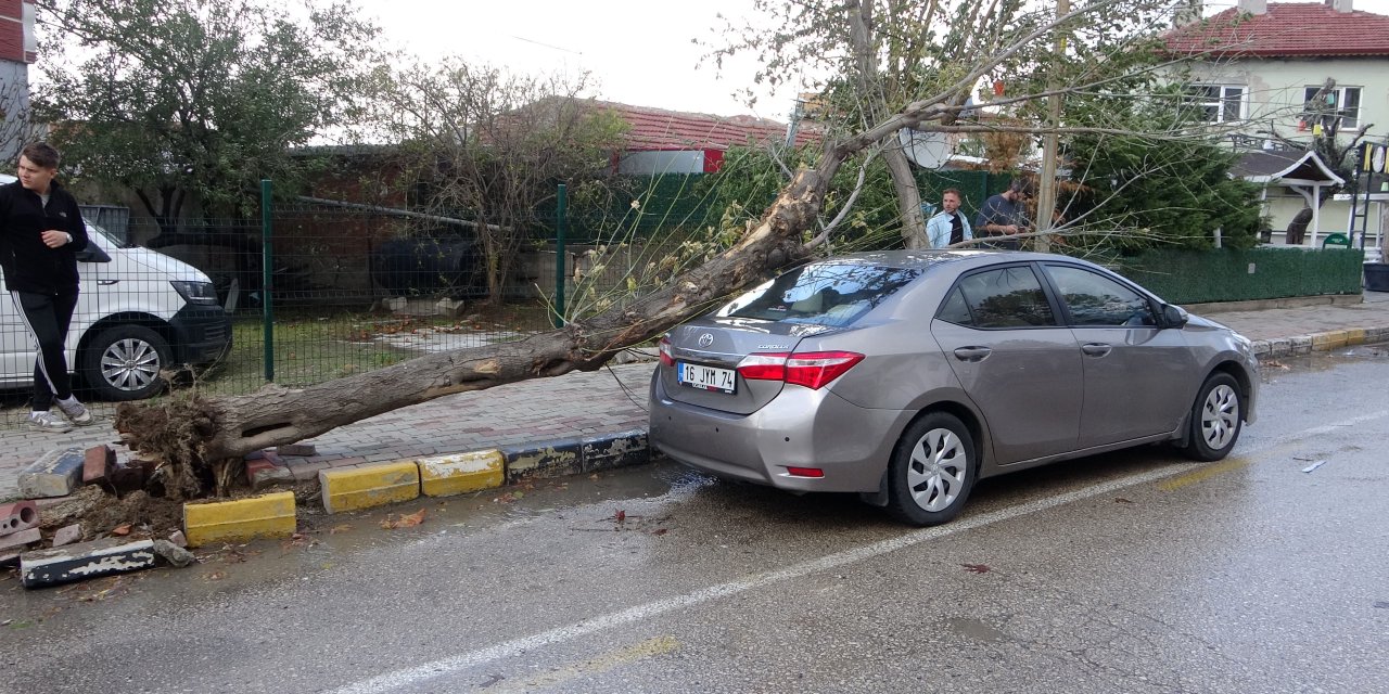 Edirne’de Lodosun Devirdiği Ağaç Otomobile Hasar Verdi