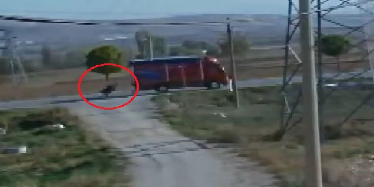 Kamyonetin Yayaya Çarptığı Kaza, Kamerada