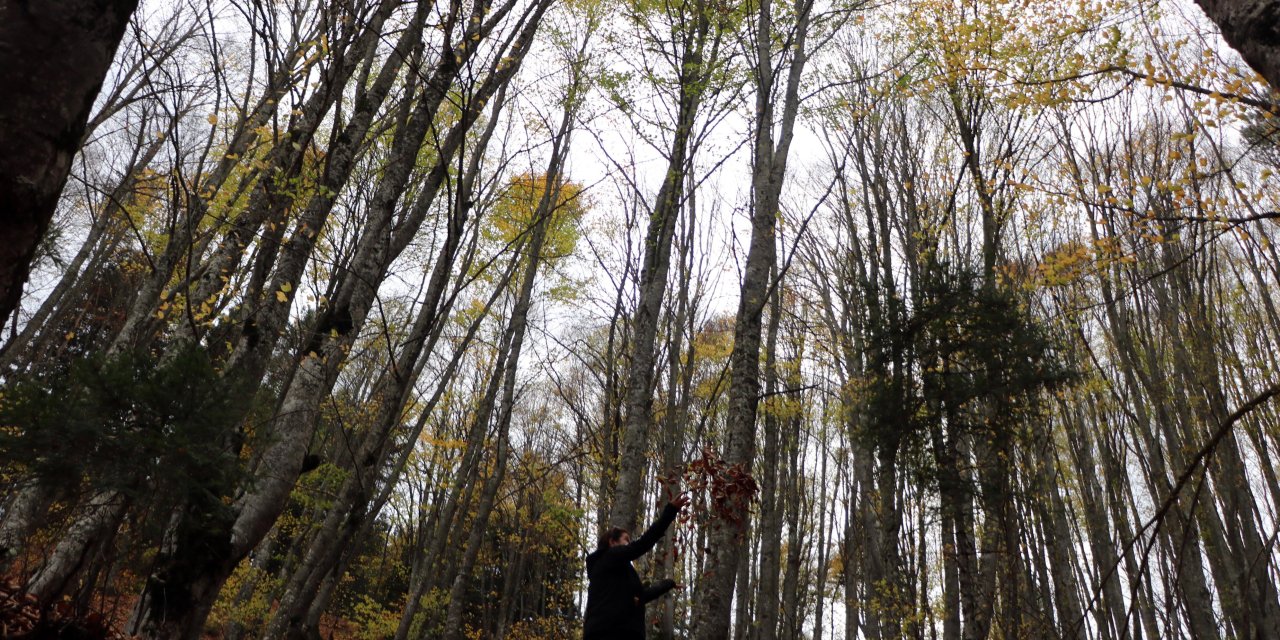 Abant’ta Ara Tatil Yoğunluğu