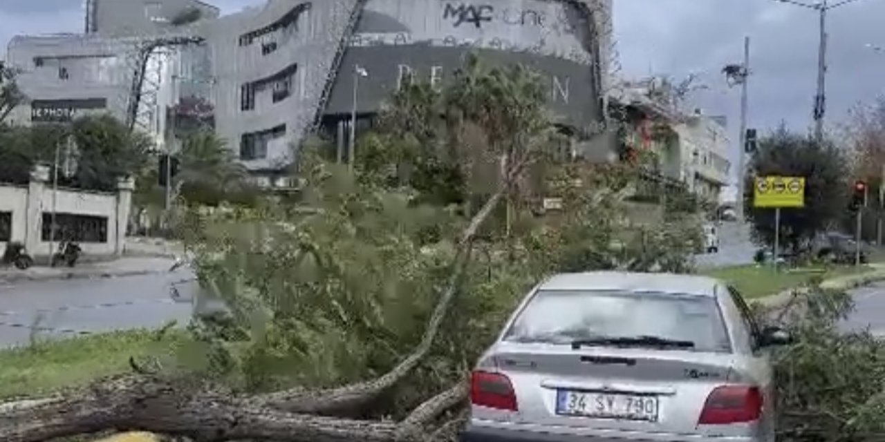 İstanbul'da Fırtına; Ağaç Otomobil Üzerine Devrildi