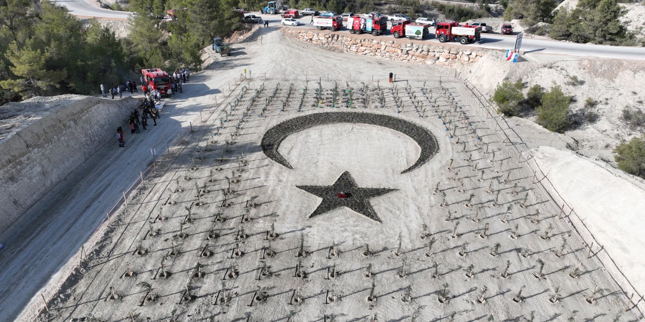 Türk Bayrağı Temasının Oluşturulduğu Alana, 16 Türk Devleti İçin 16 Ayrı Türde Fidan Dikildi