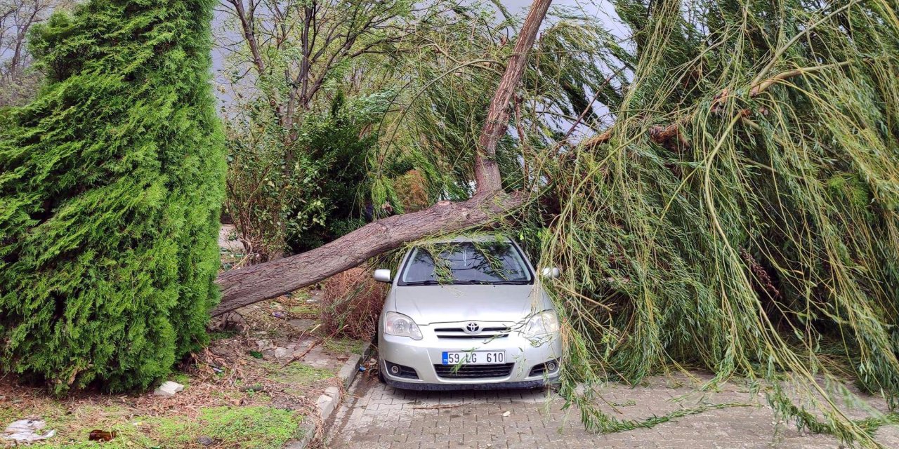 Trakya'da Yağmur Etkili Oldu (3)