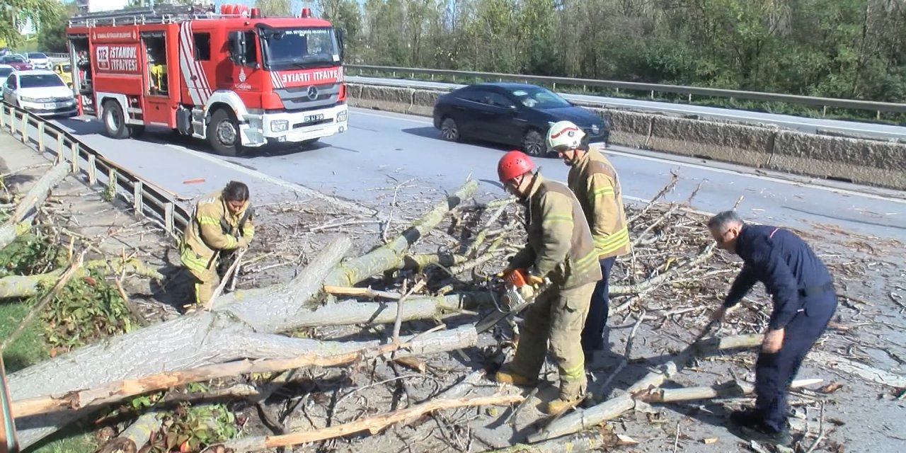 Kartal Tem Bağlantı Yolunda Ağaç Devrildi