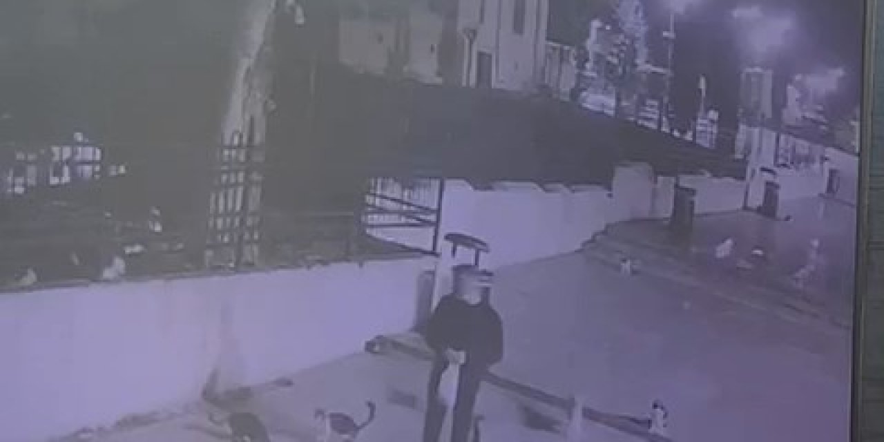 Fatih'te Yavru Kediyi Çantasına Koyan Şüpheli Kamerada