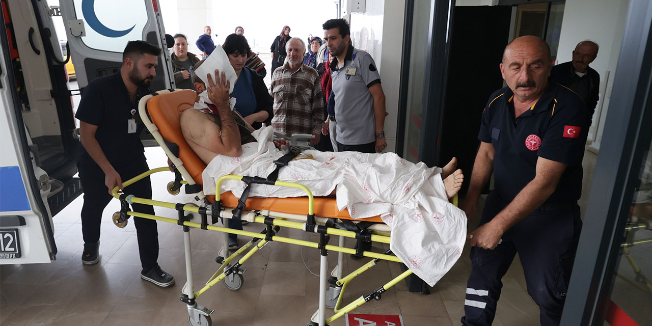 Gümüşhane'de ayı saldırısına uğrayan kişi yaralandı