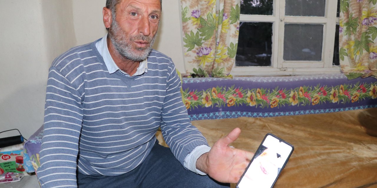 Ayının Saldırdığı Çobana 30 Dikiş Atıldı: Köpekler Olmasaydı Öteki Dünyaya Gitmiştik