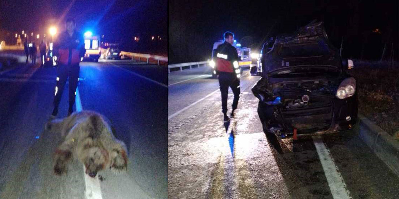 Bayburt'ta ayıya çarpan hafif ticari araçtaki 6 kişi yaralandı