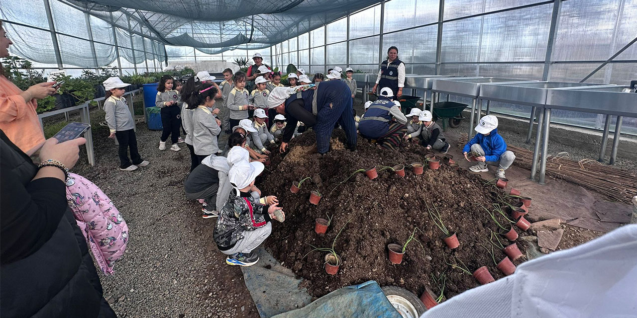 Rize'de Minik Eller Toprağa Doydu