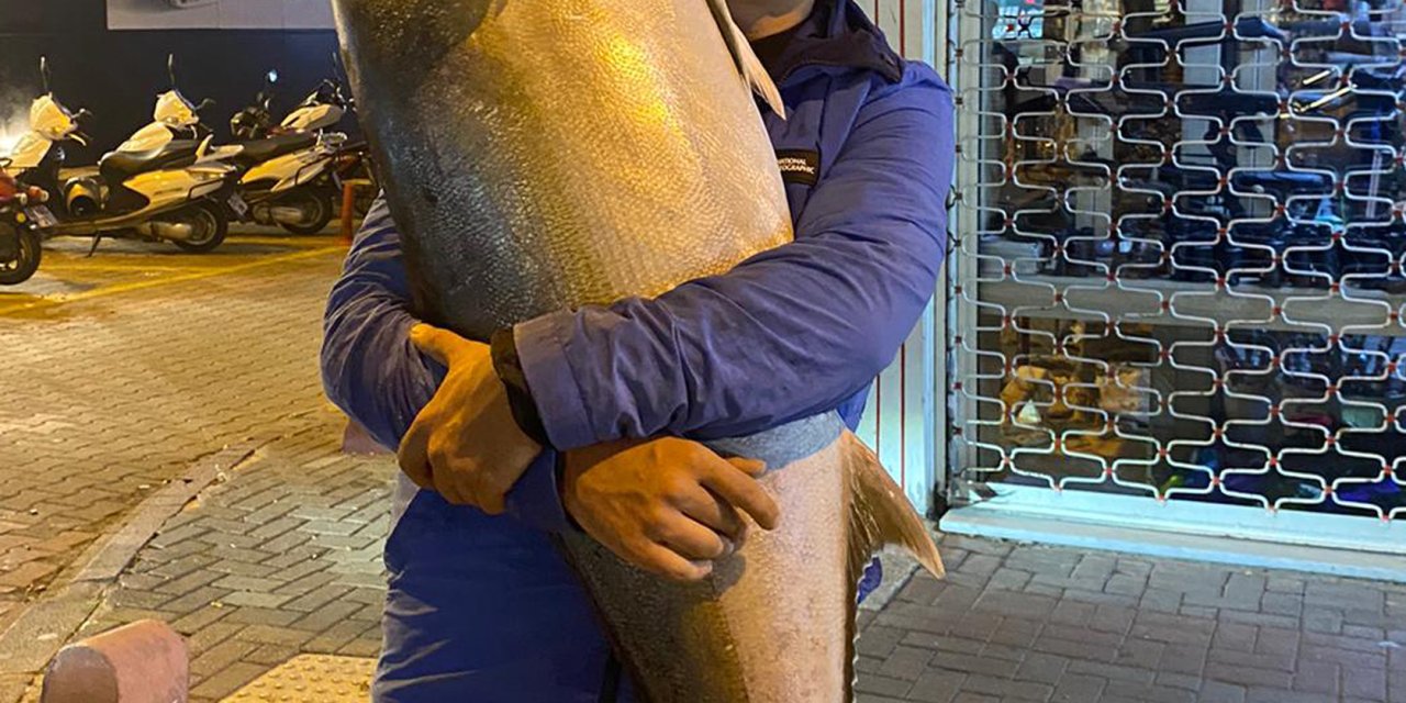 Amatör Balıkçı, Olta İle 41 Kiloluk Akya Yakaladı